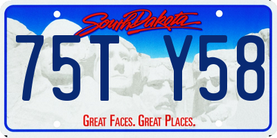 SD license plate 75TY58