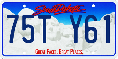 SD license plate 75TY61