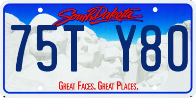 SD license plate 75TY80