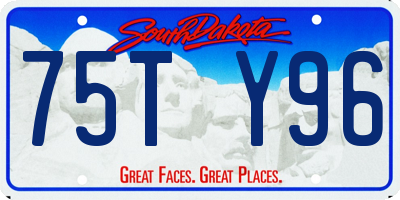 SD license plate 75TY96