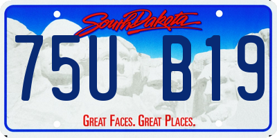 SD license plate 75UB19