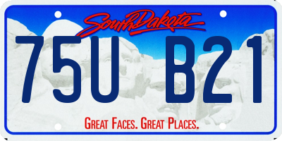 SD license plate 75UB21