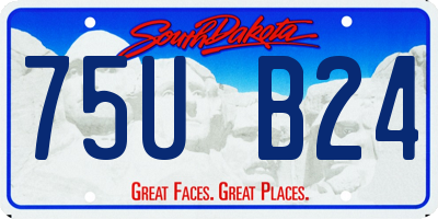 SD license plate 75UB24