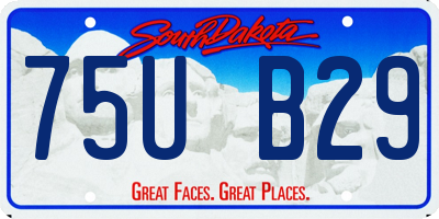 SD license plate 75UB29
