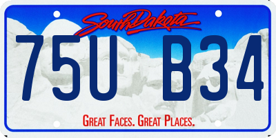 SD license plate 75UB34