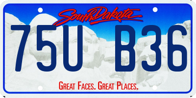 SD license plate 75UB36