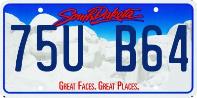 SD license plate 75UB64