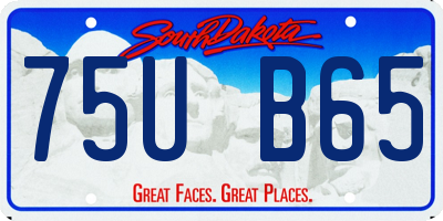 SD license plate 75UB65