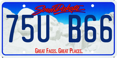 SD license plate 75UB66