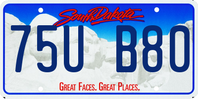 SD license plate 75UB80