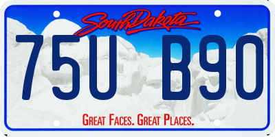 SD license plate 75UB90