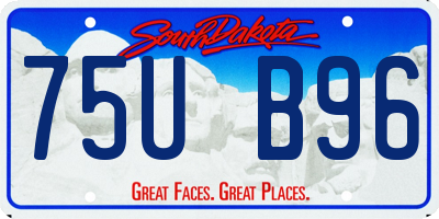 SD license plate 75UB96