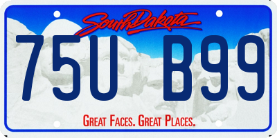 SD license plate 75UB99