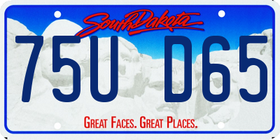 SD license plate 75UD65