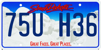 SD license plate 75UH36