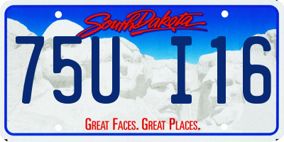 SD license plate 75UI16