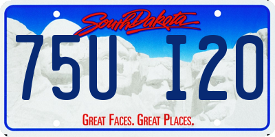 SD license plate 75UI20