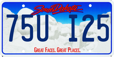 SD license plate 75UI25