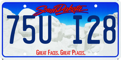 SD license plate 75UI28