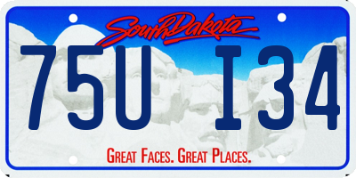 SD license plate 75UI34