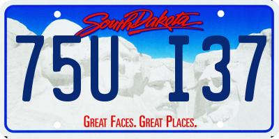 SD license plate 75UI37