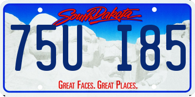 SD license plate 75UI85