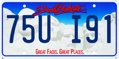 SD license plate 75UI91