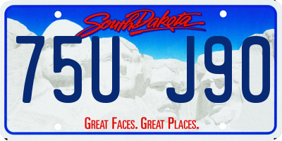 SD license plate 75UJ90