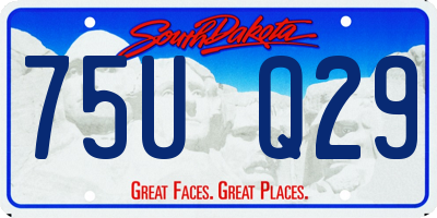 SD license plate 75UQ29