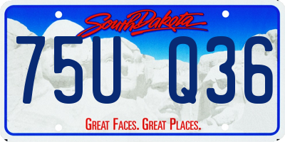 SD license plate 75UQ36