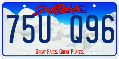 SD license plate 75UQ96