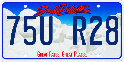 SD license plate 75UR28
