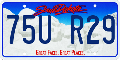 SD license plate 75UR29
