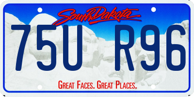 SD license plate 75UR96