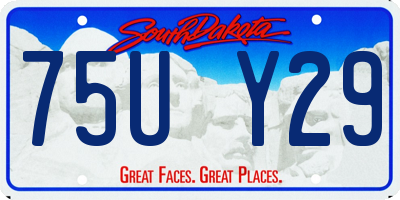 SD license plate 75UY29