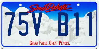SD license plate 75VB11