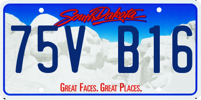 SD license plate 75VB16