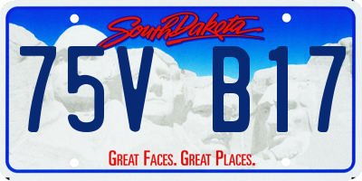 SD license plate 75VB17