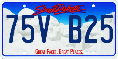 SD license plate 75VB25