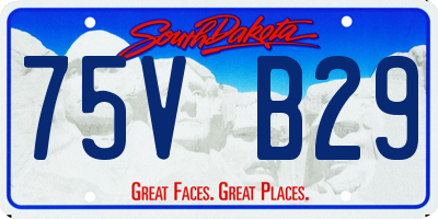 SD license plate 75VB29