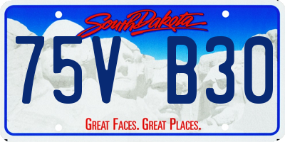SD license plate 75VB30