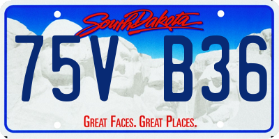 SD license plate 75VB36