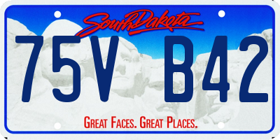 SD license plate 75VB42
