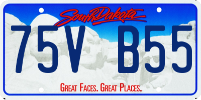 SD license plate 75VB55