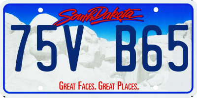 SD license plate 75VB65