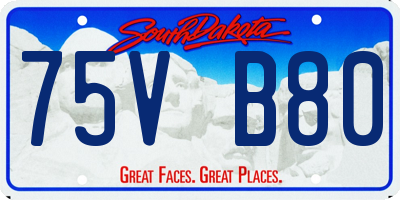 SD license plate 75VB80