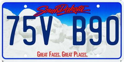 SD license plate 75VB90