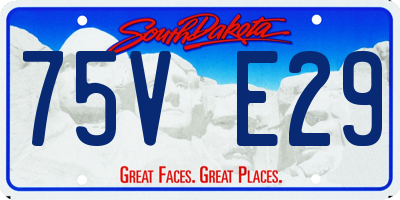 SD license plate 75VE29