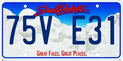 SD license plate 75VE31