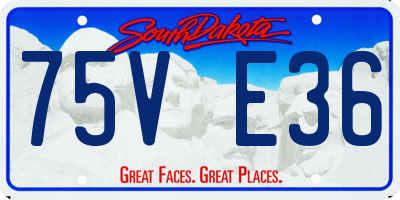 SD license plate 75VE36